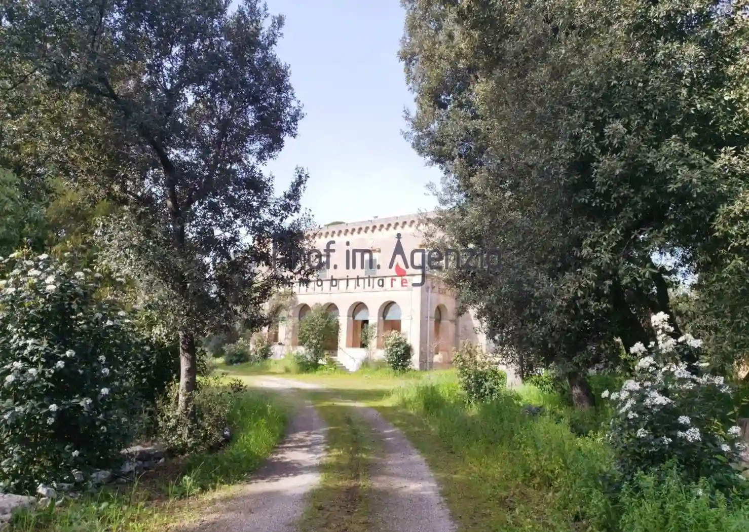 Palazzo - Edificio - foto 3