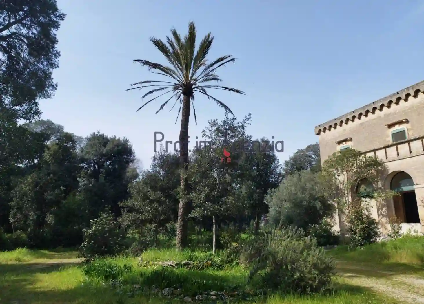 Palazzo - Edificio - foto 5