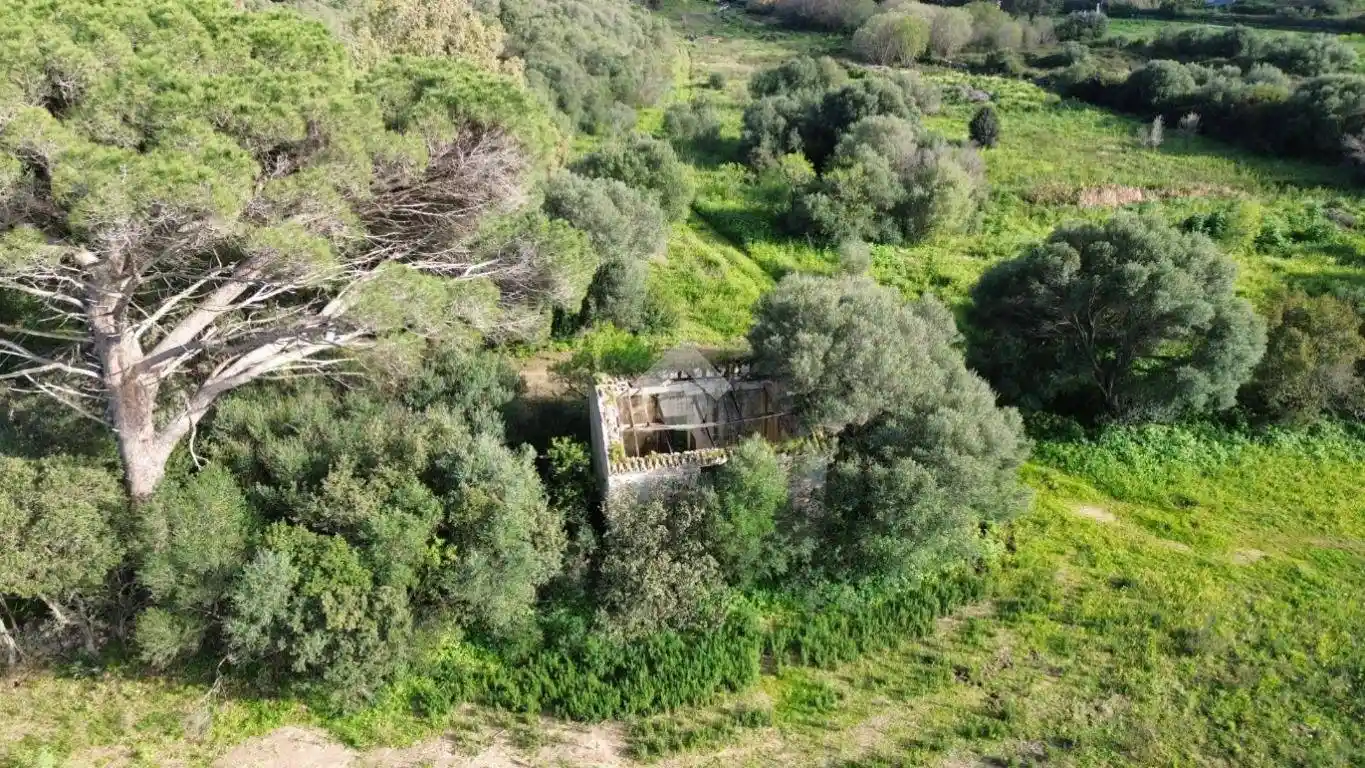 Rustico - Casale in vendita a Arzachena