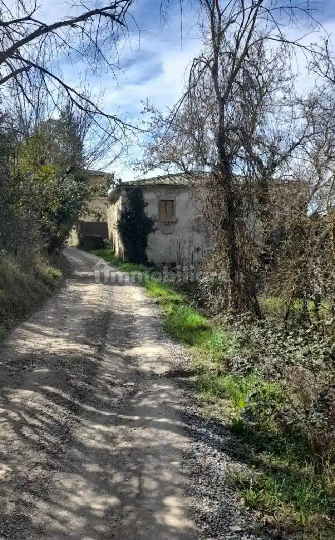 Casa colonica via di San Filippo, San Fabiano, Arezzo - foto 5