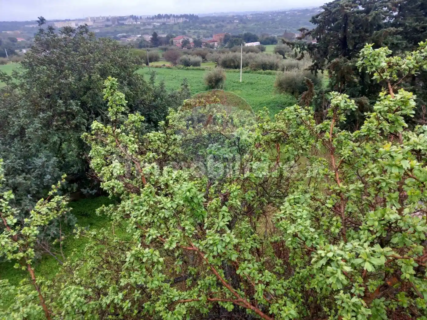 Villa unifamiliare 187 m², Fiumara, Modica - foto 5