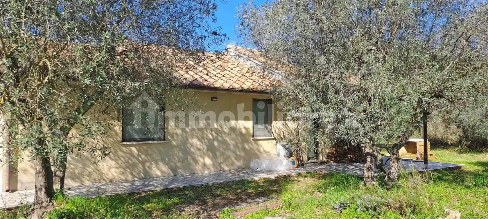 Rustico - Casale - foto 3