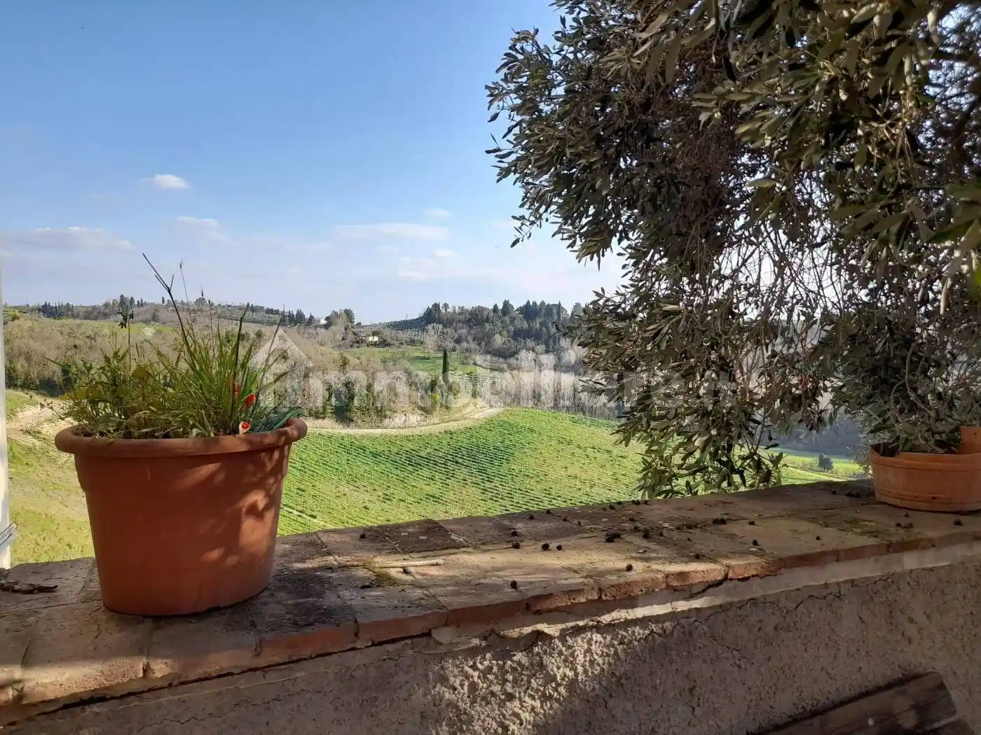 Appartamento in vendita a San Miniato