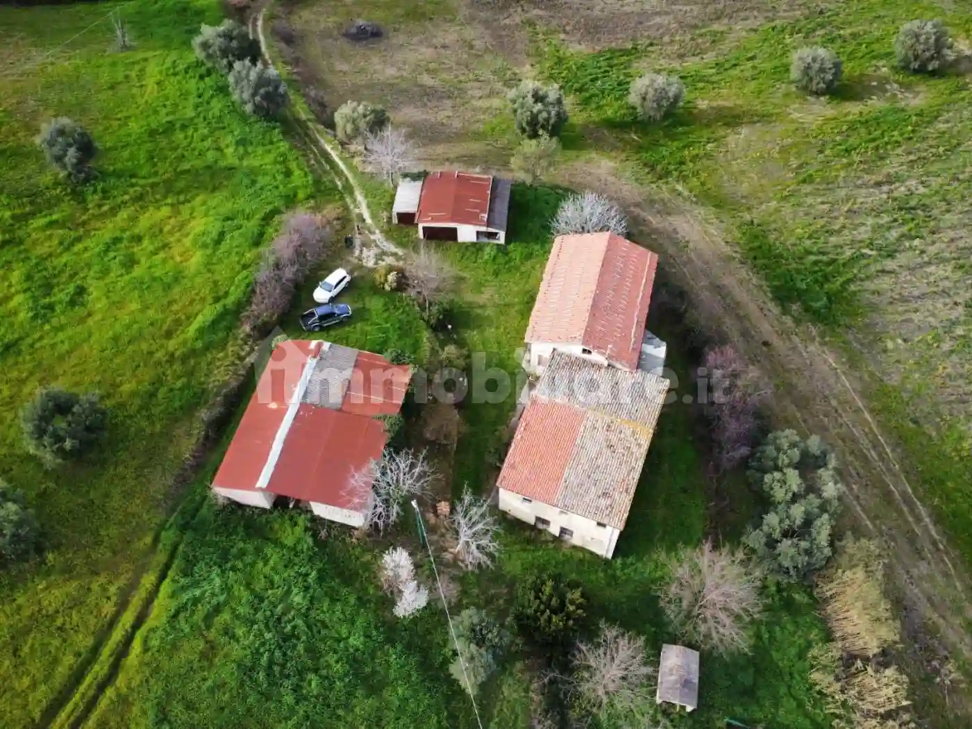 Rustico - Casale - foto 5