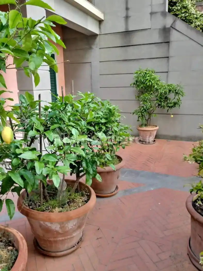 Monolocale via Guglielmo Marconi 29, Centro, Follonica - foto 3