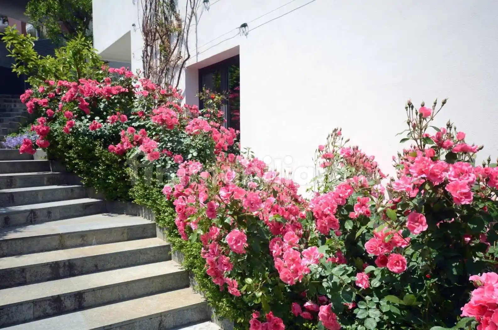 Villa unifamiliare Strada Colle di Mezzo 70/2, Colli Gesuiti, Pescara - foto 5