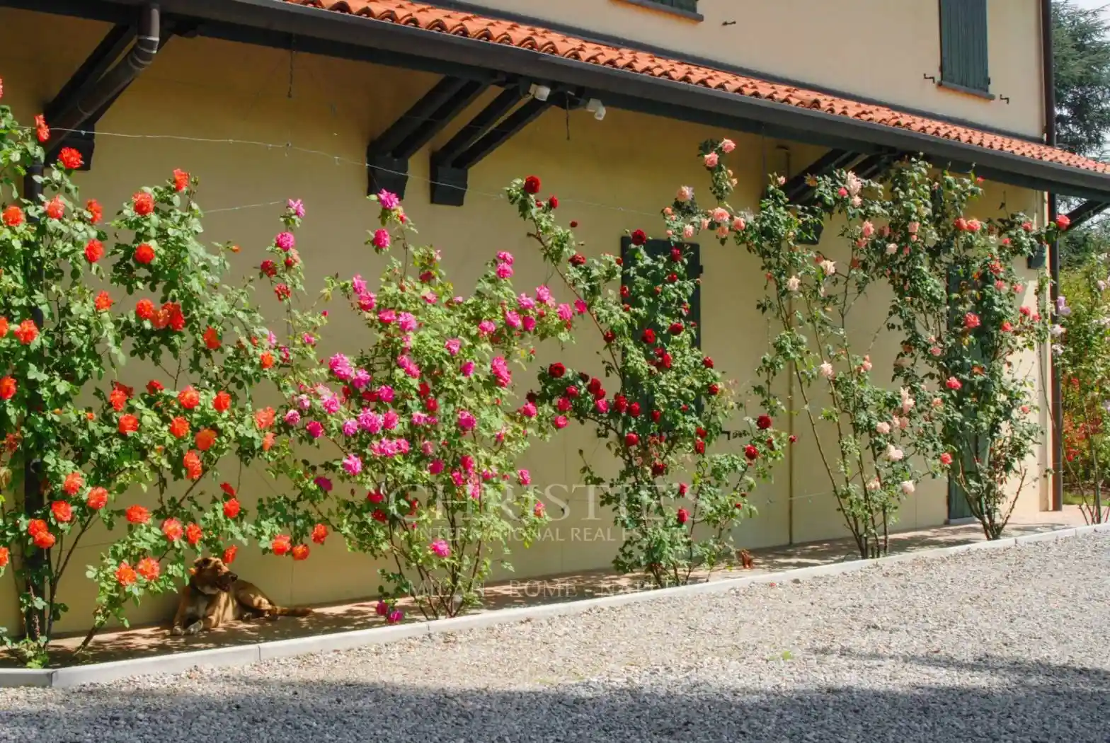 Villa unifamiliare via Turati, Carugo - foto 4