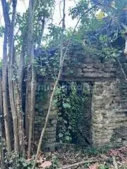 Rustico Sp54, Badalucco - foto 5