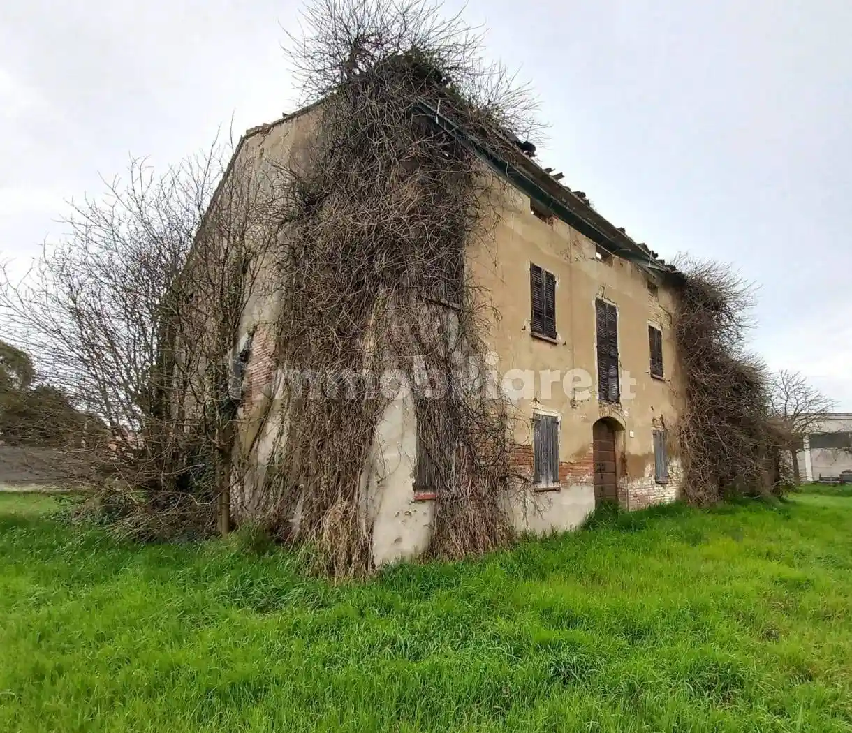Rustico - Casale in vendita a Luzzara