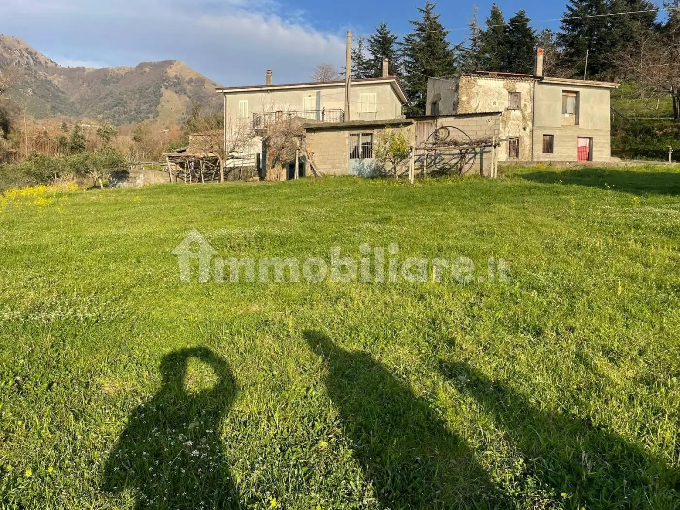 Rustico - Casale in vendita a Belvedere Marittimo