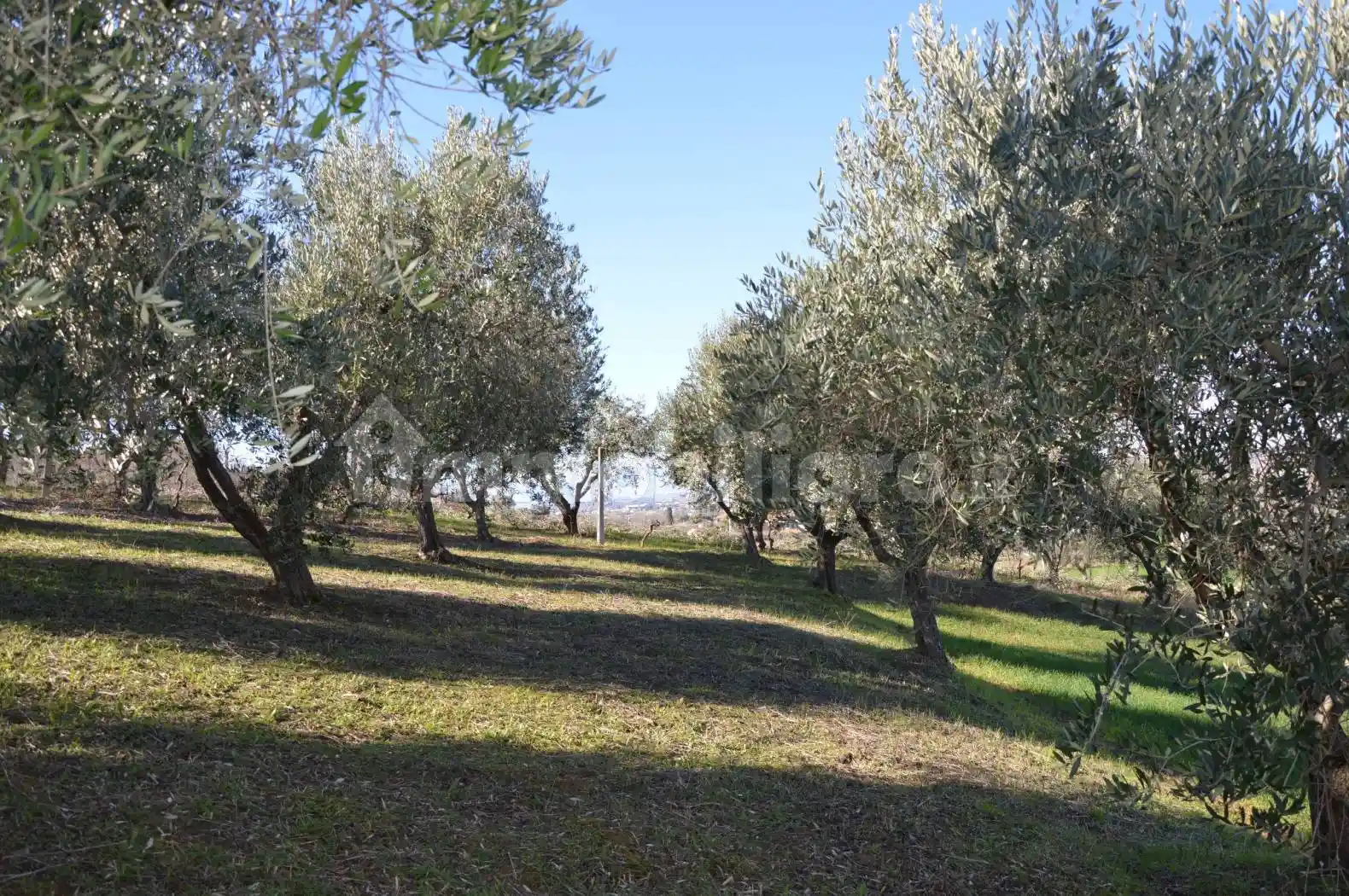 Casale via Luigi Illuminati, Roseto degli Abruzzi - foto 3