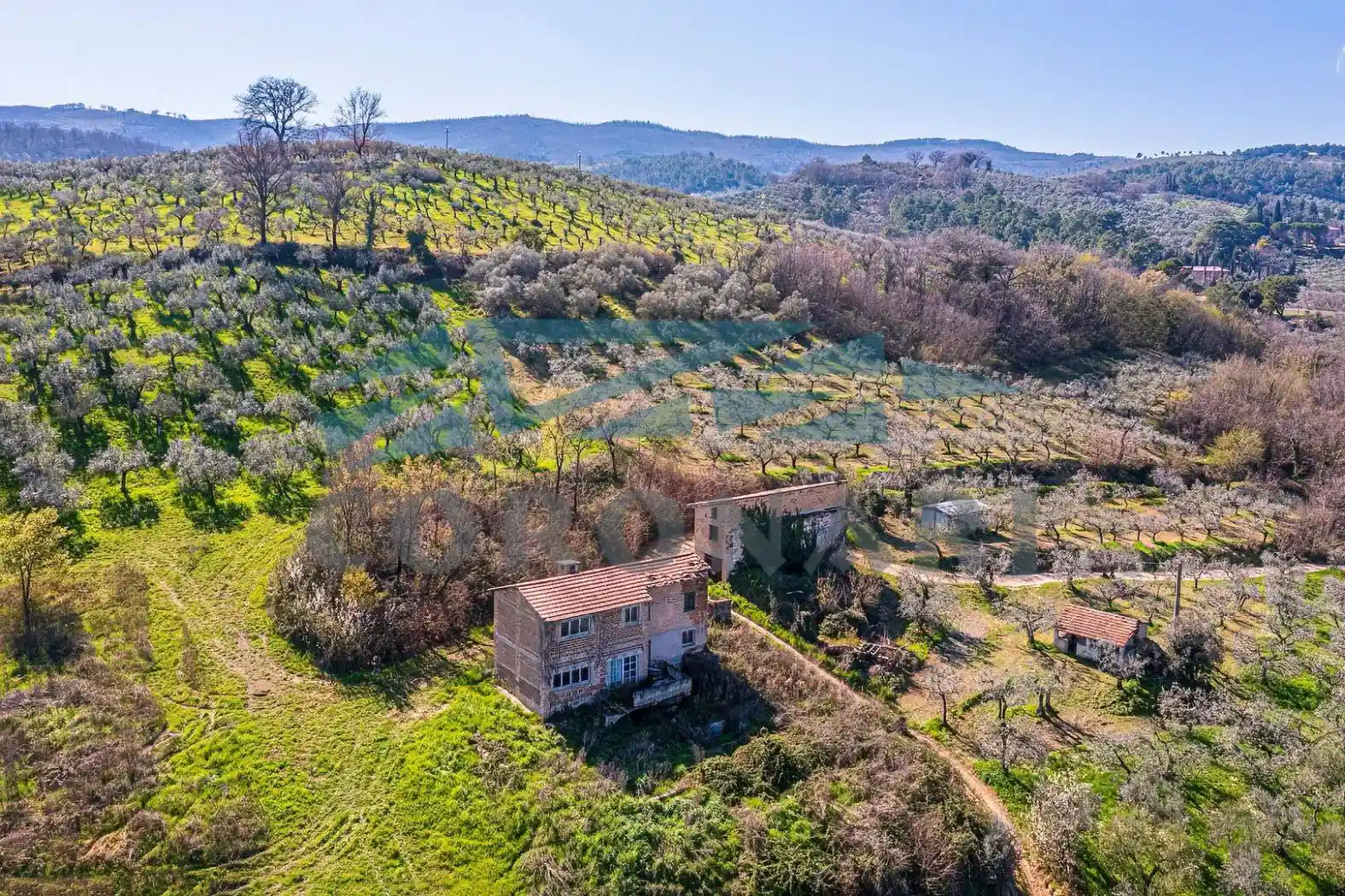 Rustico - Casale in vendita a Bevagna