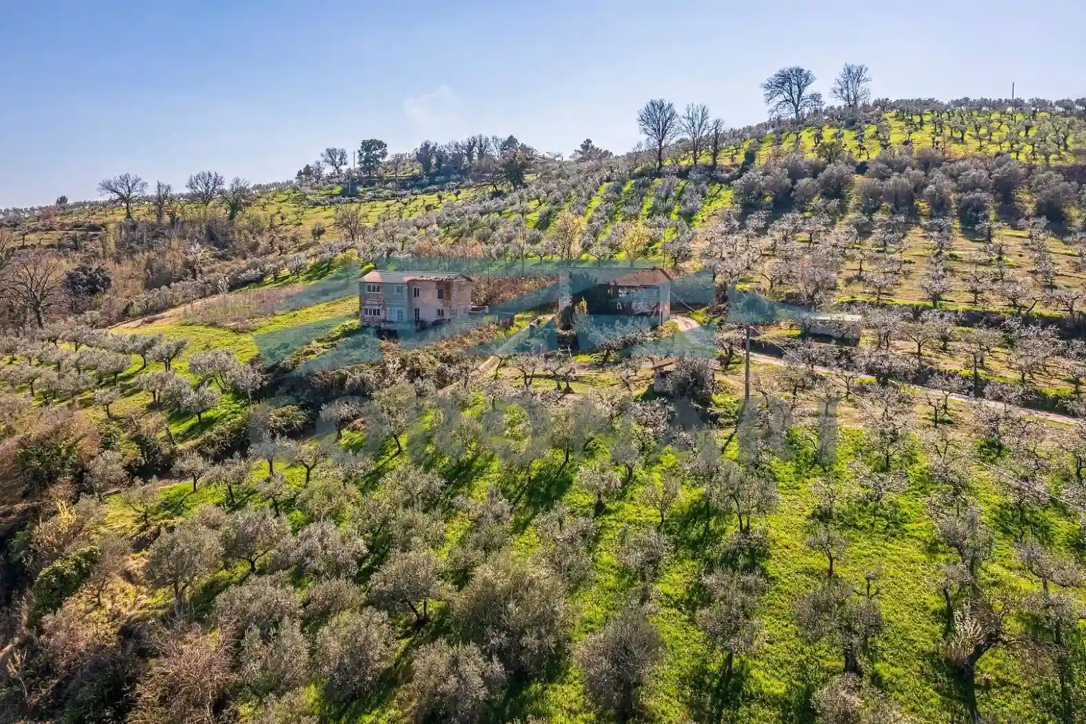 Rustico - Casale - foto 5