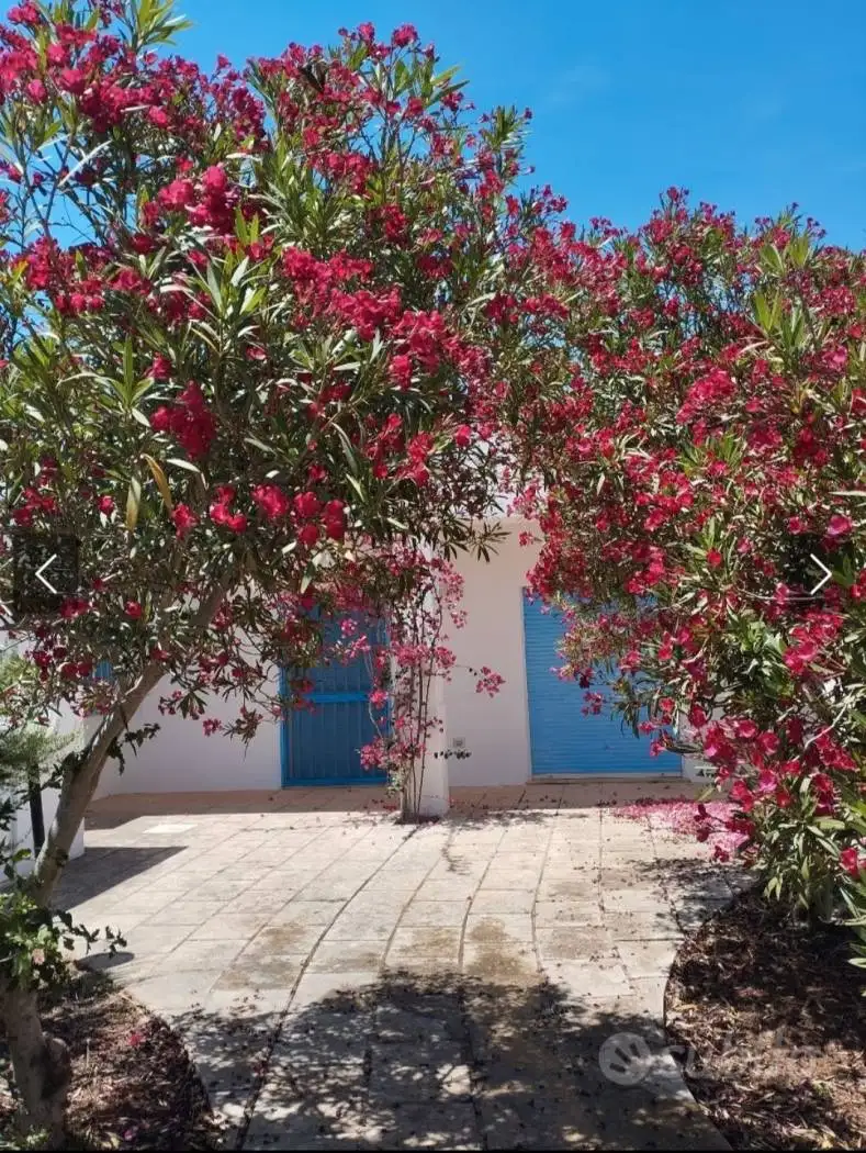 Villa in affitto a Salve