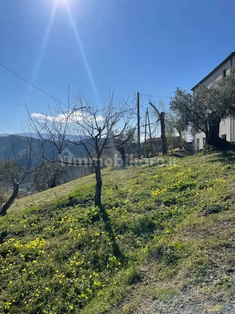 Villa bifamiliare Contrada Gallo, Amantea - foto 3