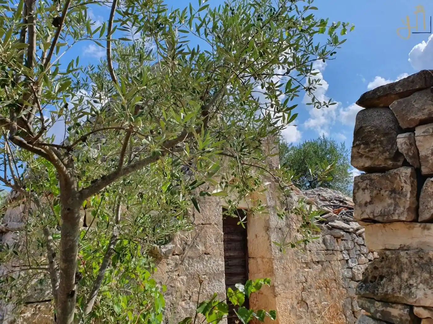 Rustico - Casale in vendita a Castellana Grotte
