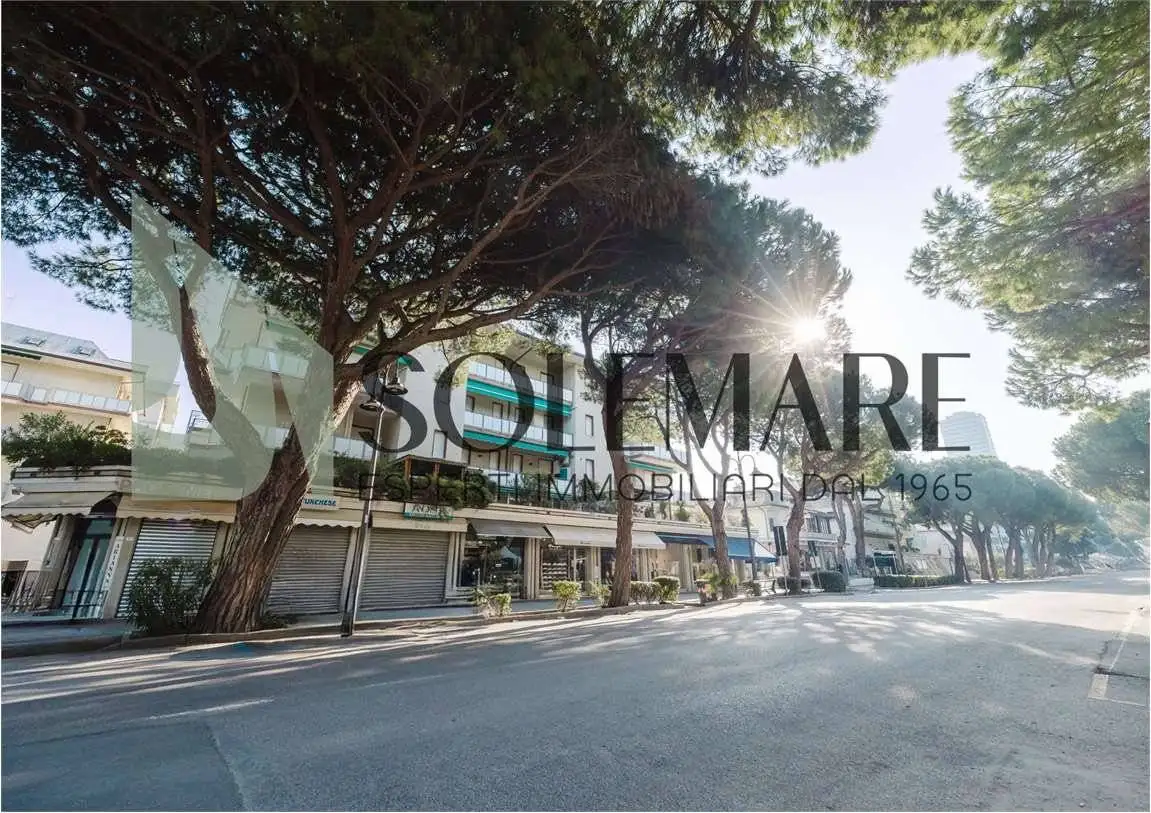 Appartamento in affitto a Cesenatico