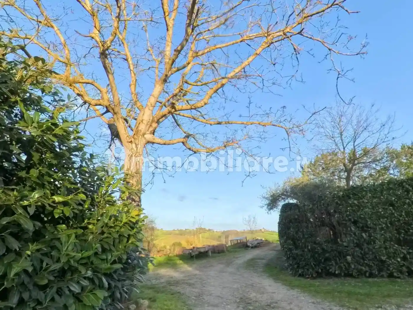 Rustico strada di fogliano 8, Sant'Andrea a Montecchio - Ginestreto, Siena - foto 4