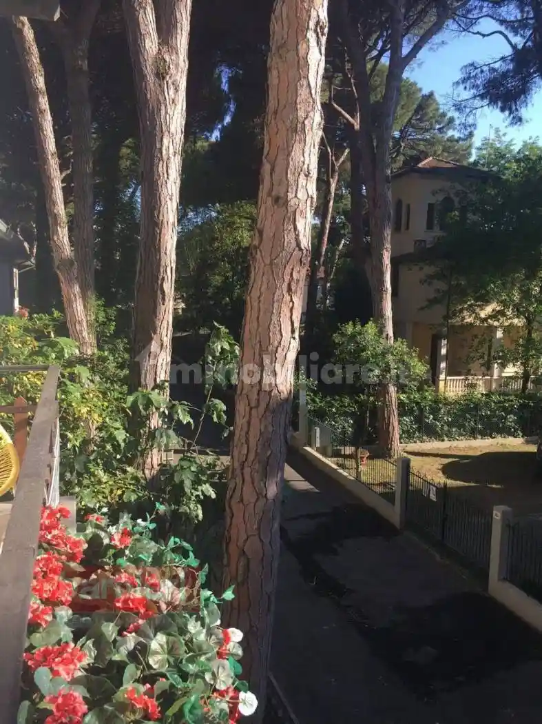 Appartamento in affitto a Cervia