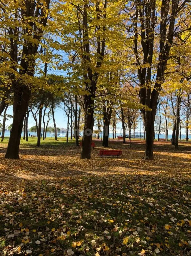 Appartamento in vendita a Venezia