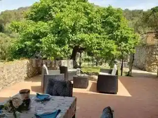 Rustico - Casale in affitto a Monte Argentario