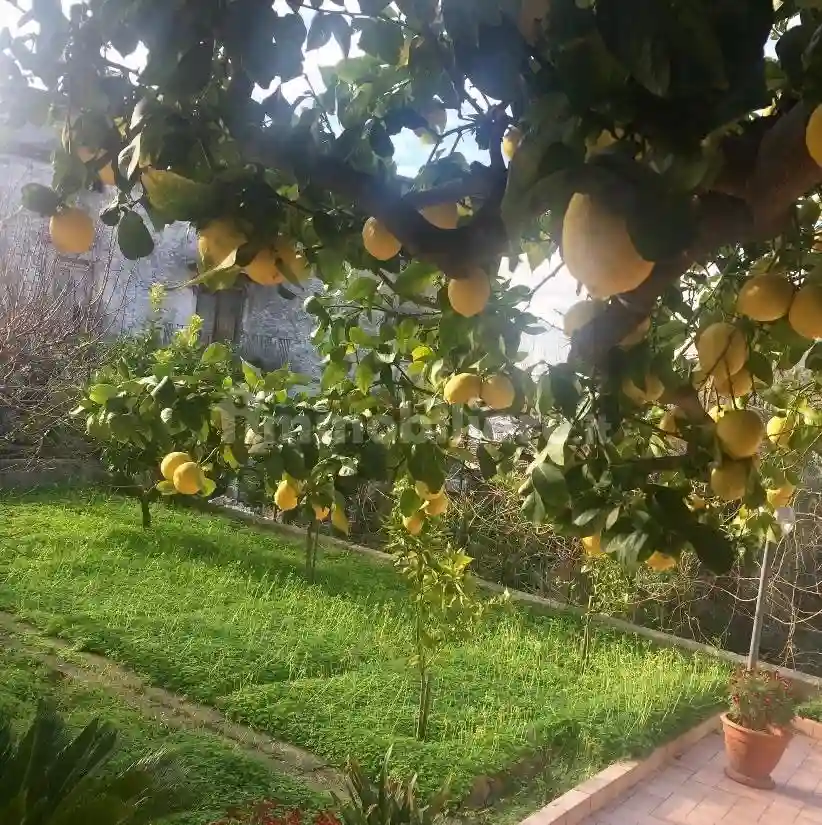 Trilocale via Pozzillo 54, Centro, Castelforte - foto 4