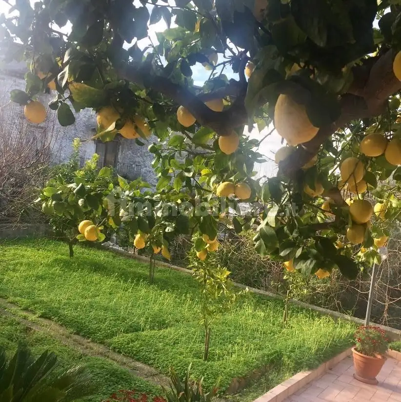 Trilocale via Pozzillo 54, Centro, Castelforte - foto 2