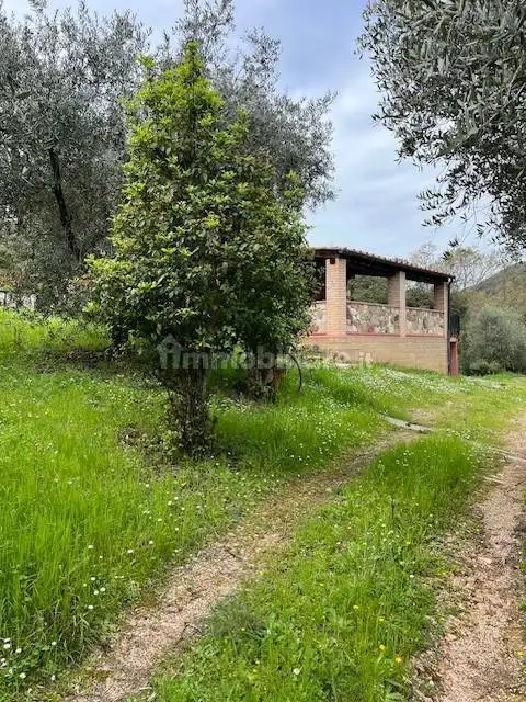 Rustico - Casale in vendita a Sassetta