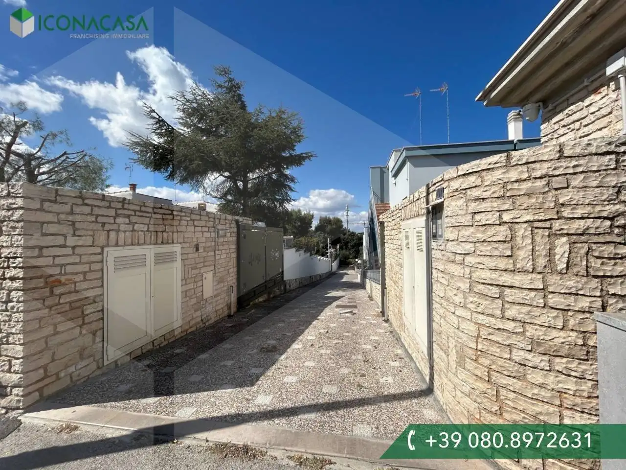 Appartamento in affitto a Bisceglie