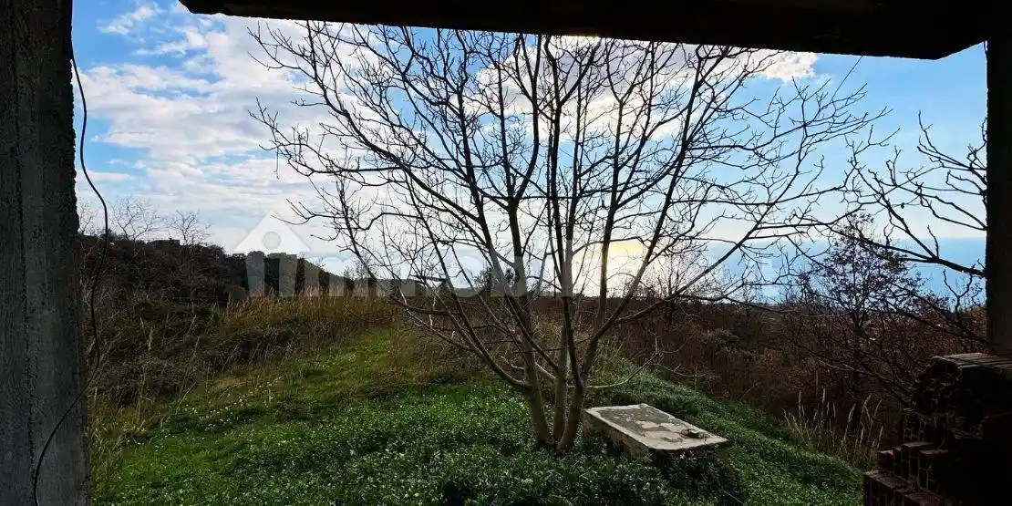 Villa unifamiliare Contrada Triggiano, Belvedere Marittimo - foto 2