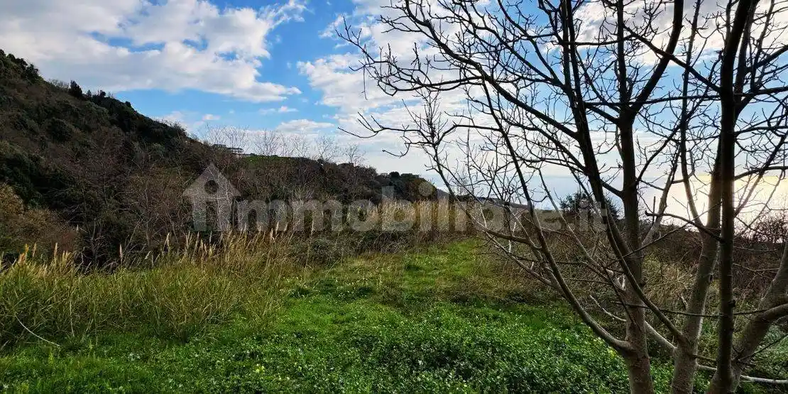 Villa unifamiliare Contrada Triggiano, Belvedere Marittimo - foto 3