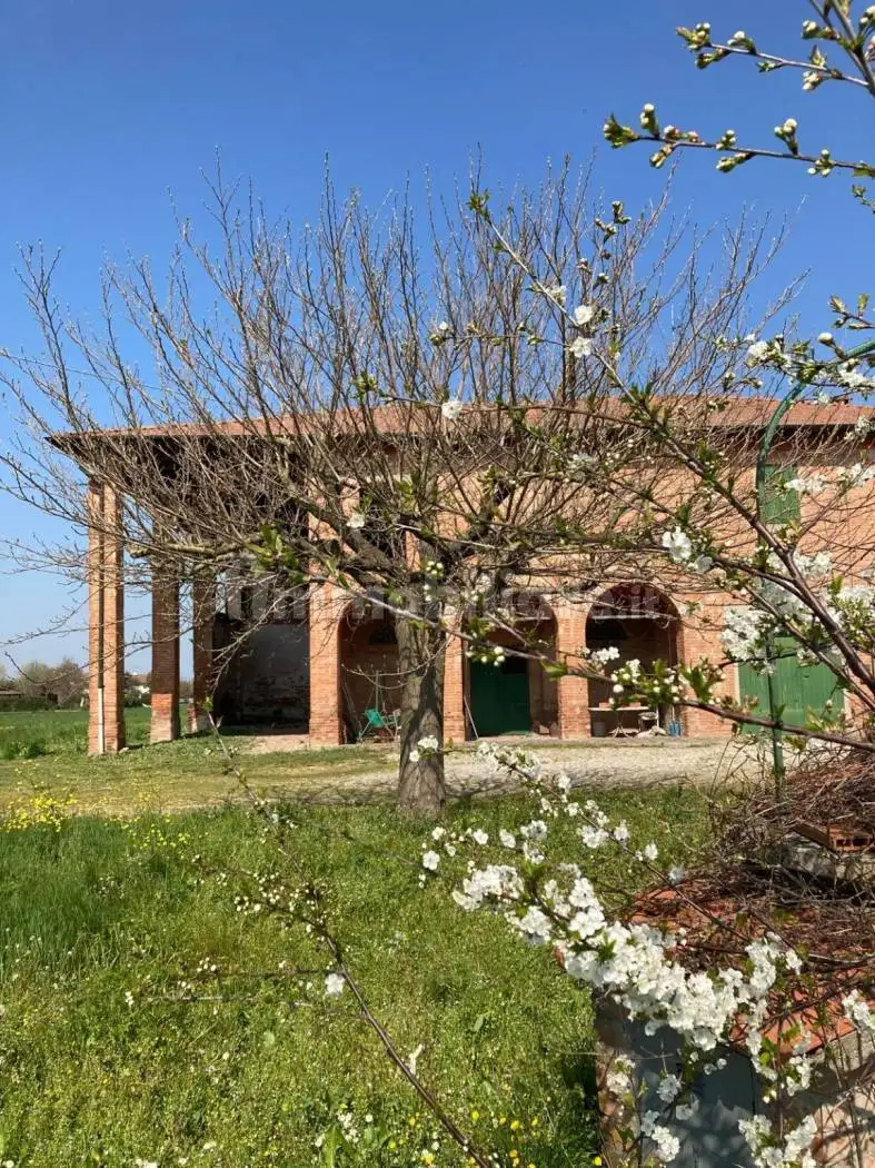 Villa in vendita a Medicina