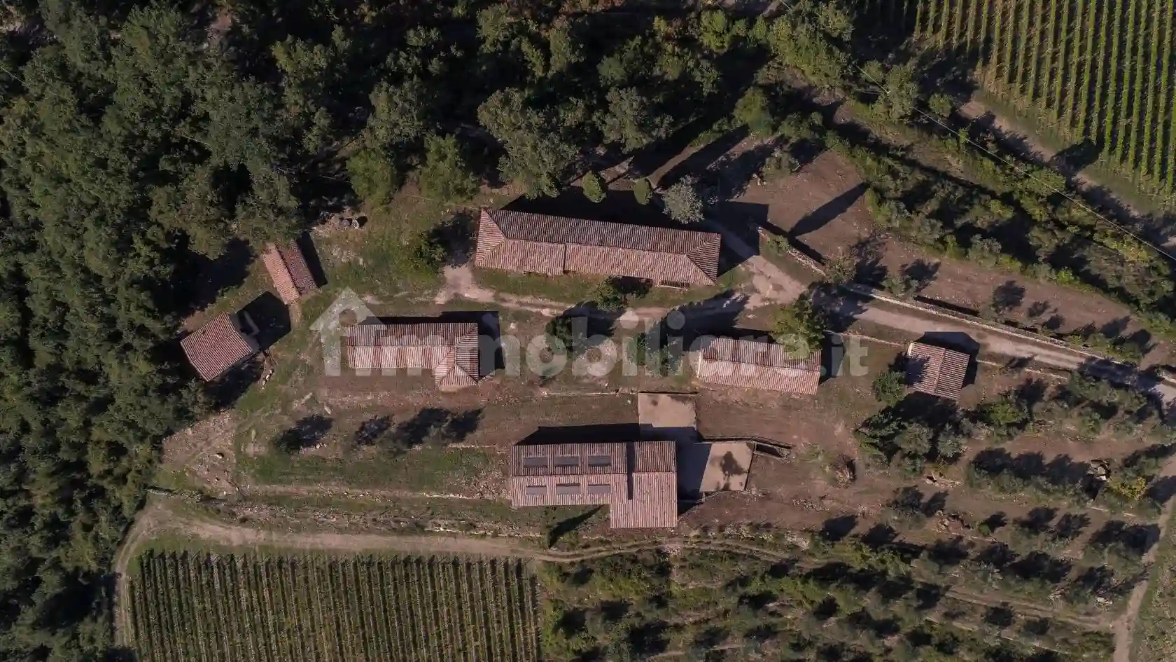 Rustico - Casale - foto 5