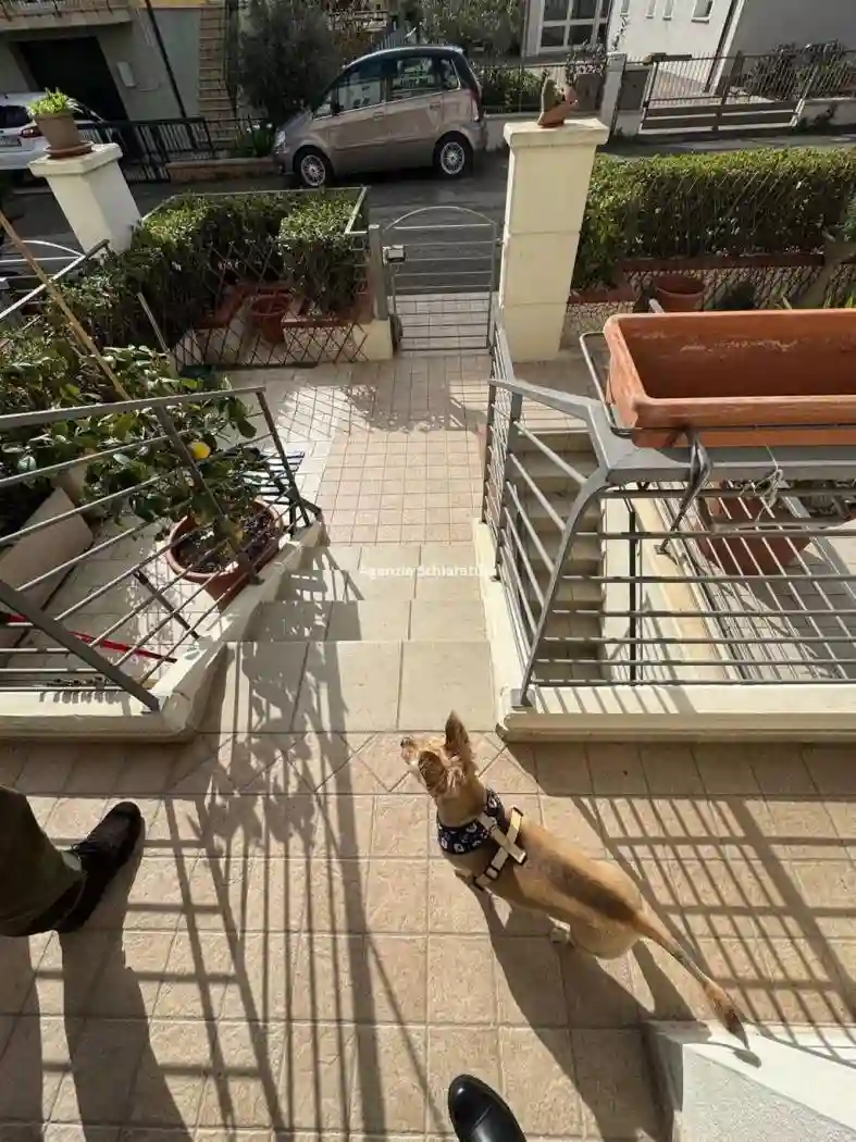 Villetta a schiera - foto 3