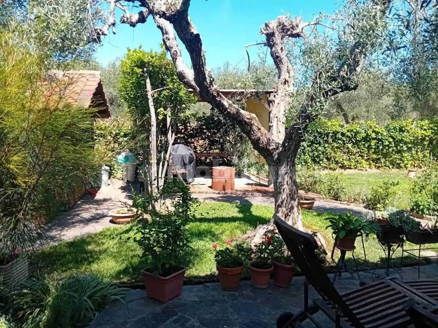 Villa in vendita a Castiglione della Pescaia