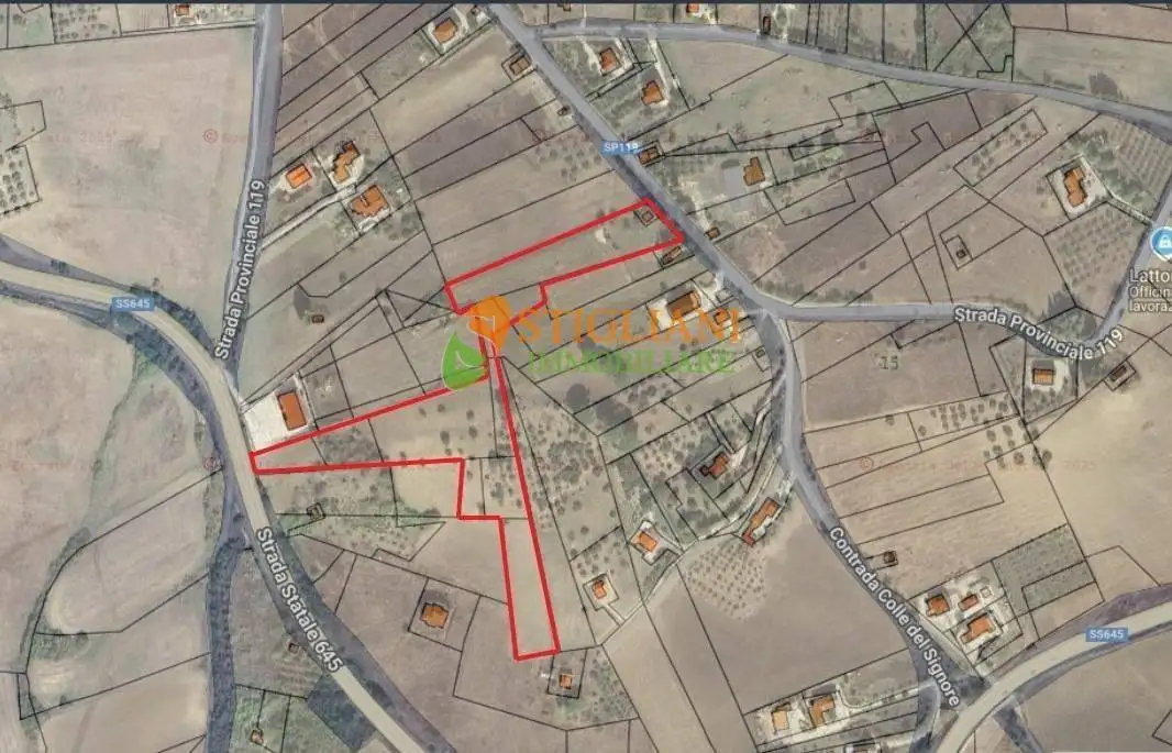 Terratetto unifamiliare Campodipietra, Campodipietra - foto 3