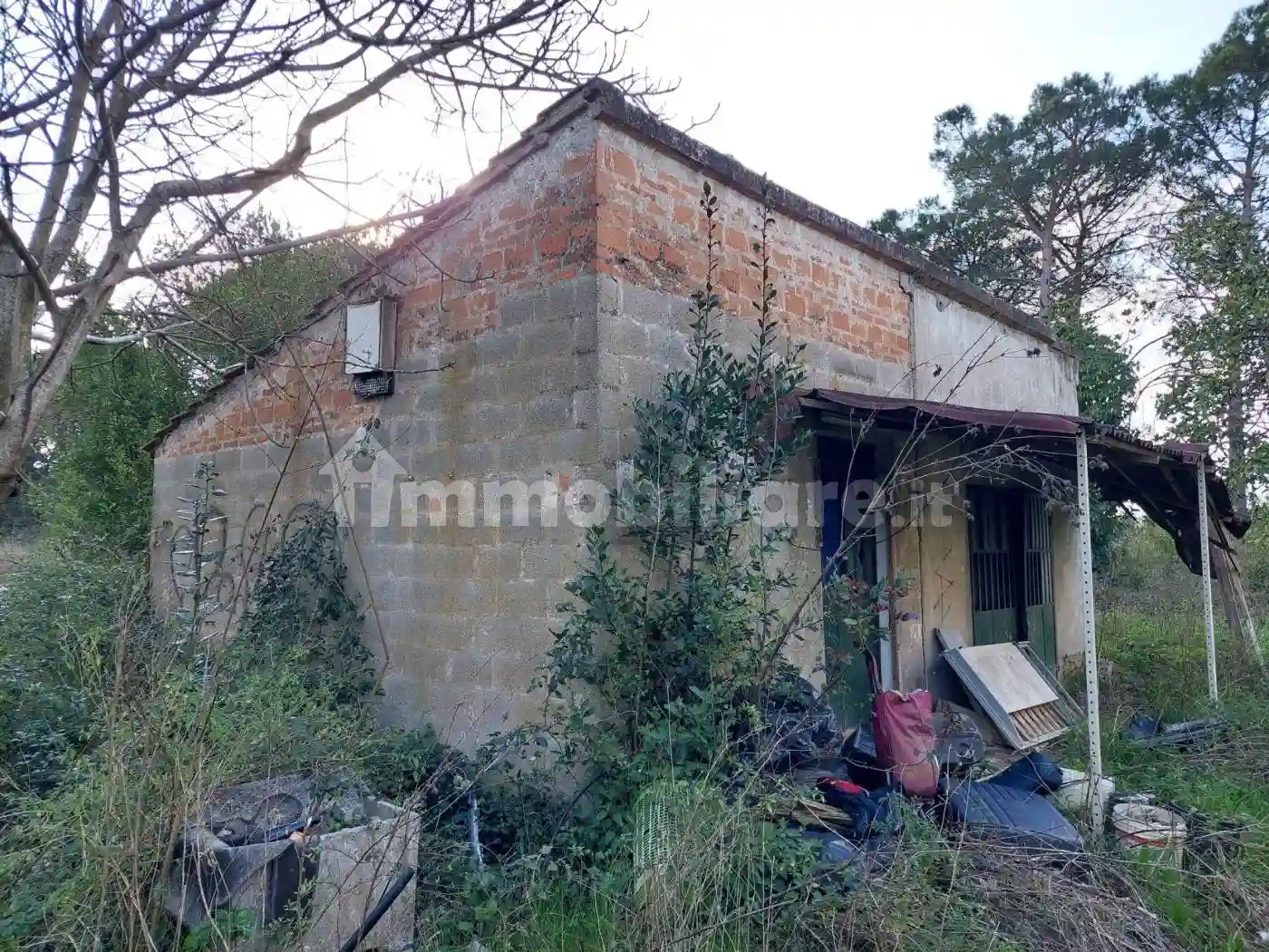 Rustico - Casale - foto 4