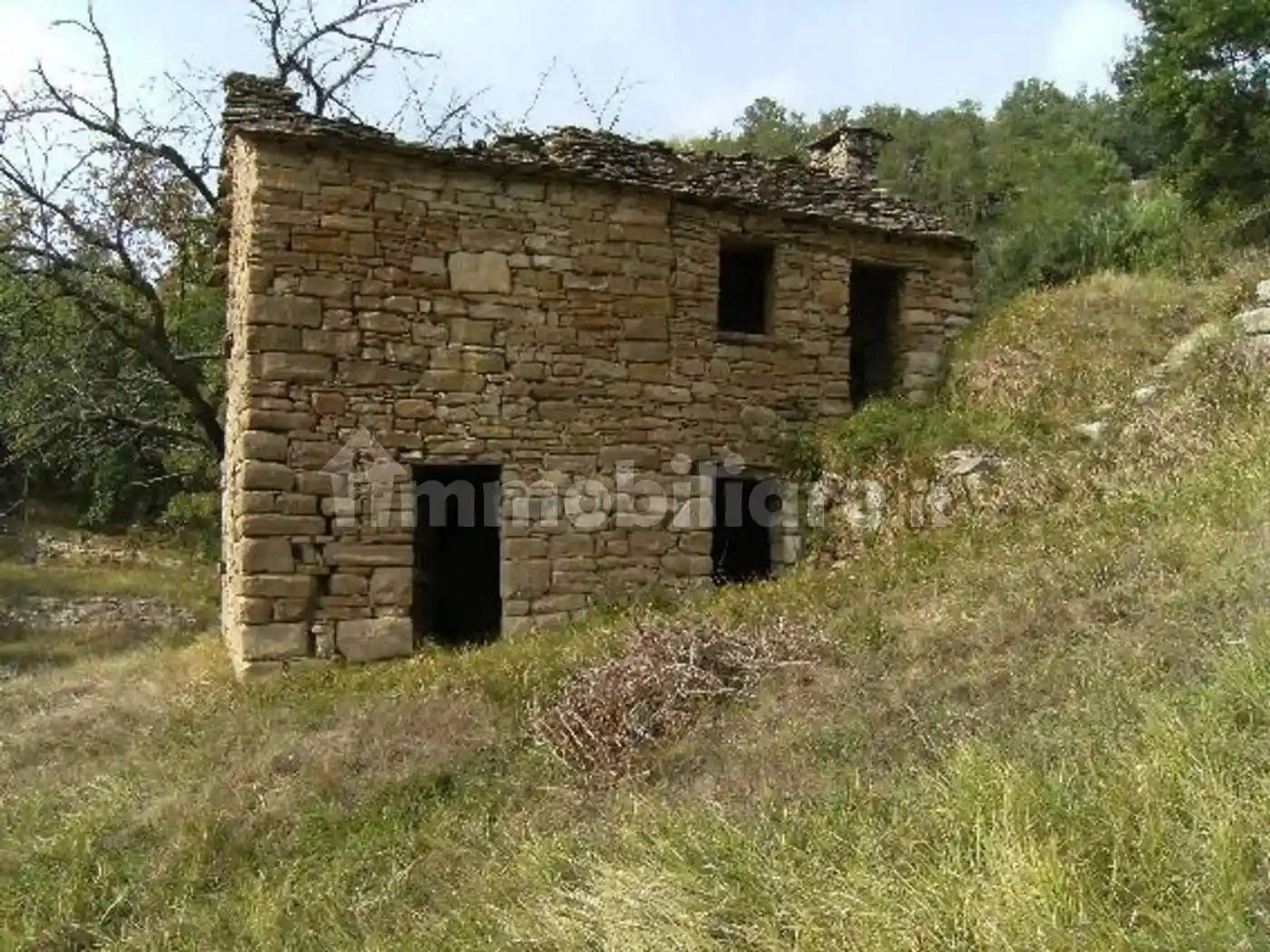 Rustico - Casale in vendita a Cortemilia