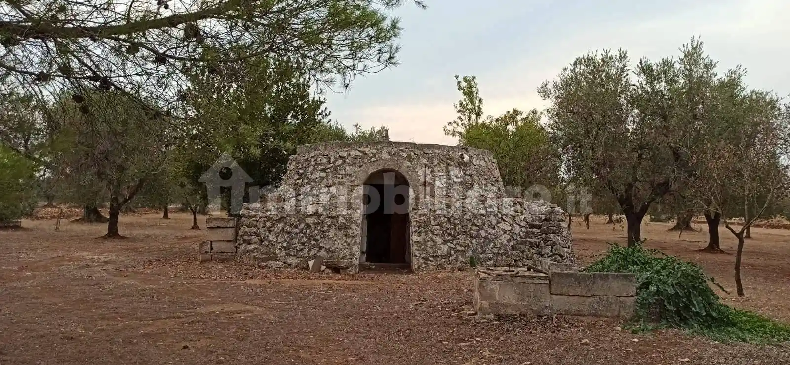 Rustico - Casale in vendita a Francavilla Fontana