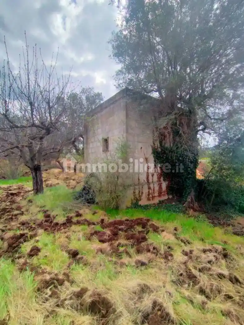 Rustico - Casale in vendita a Monopoli