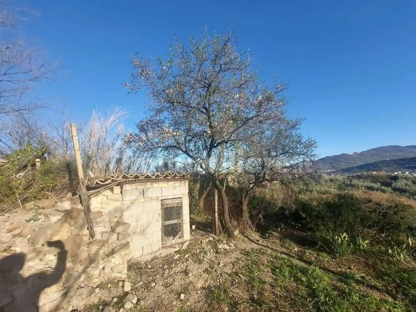 Villa unifamiliare Contrada Guarenna Vecchia, Casoli - foto 4