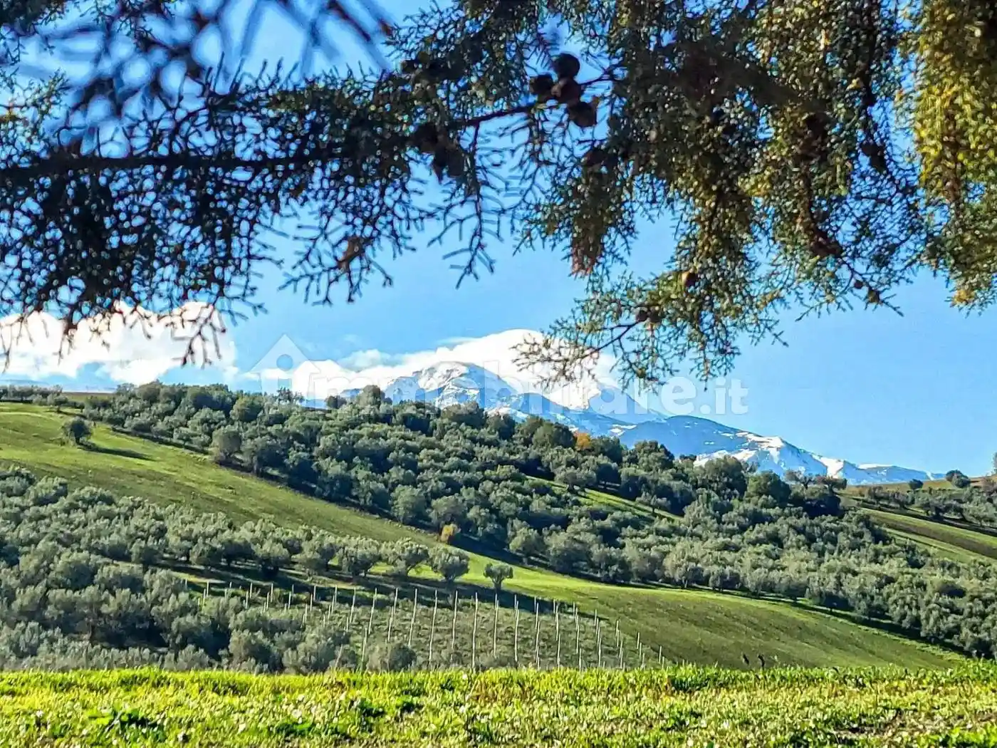 Villa unifamiliare frazione Cotti, Cotti, Sant'Eusanio del Sangro - foto 3