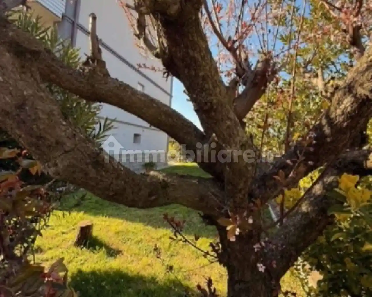 Casa indipendente in vendita a Sassuolo