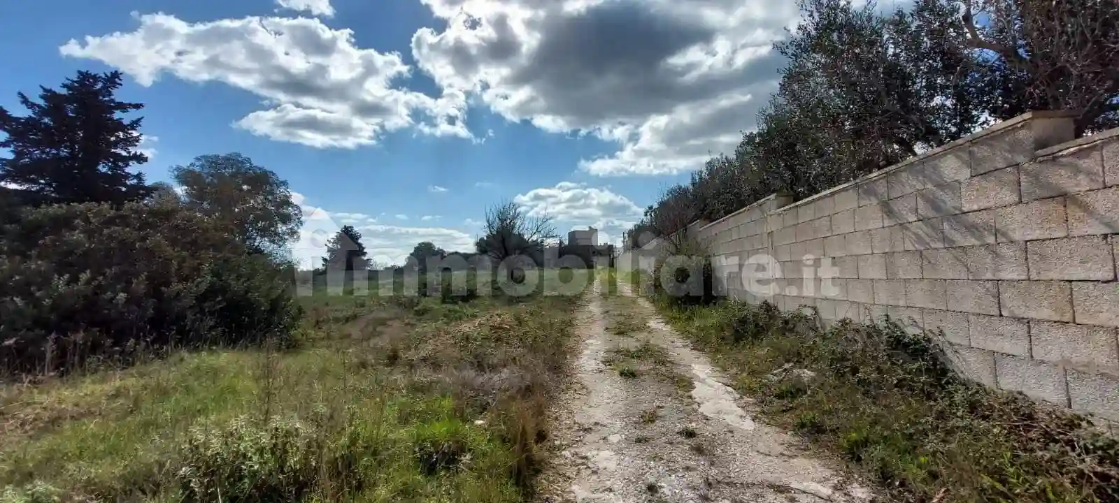 Palazzo - Edificio - foto 5