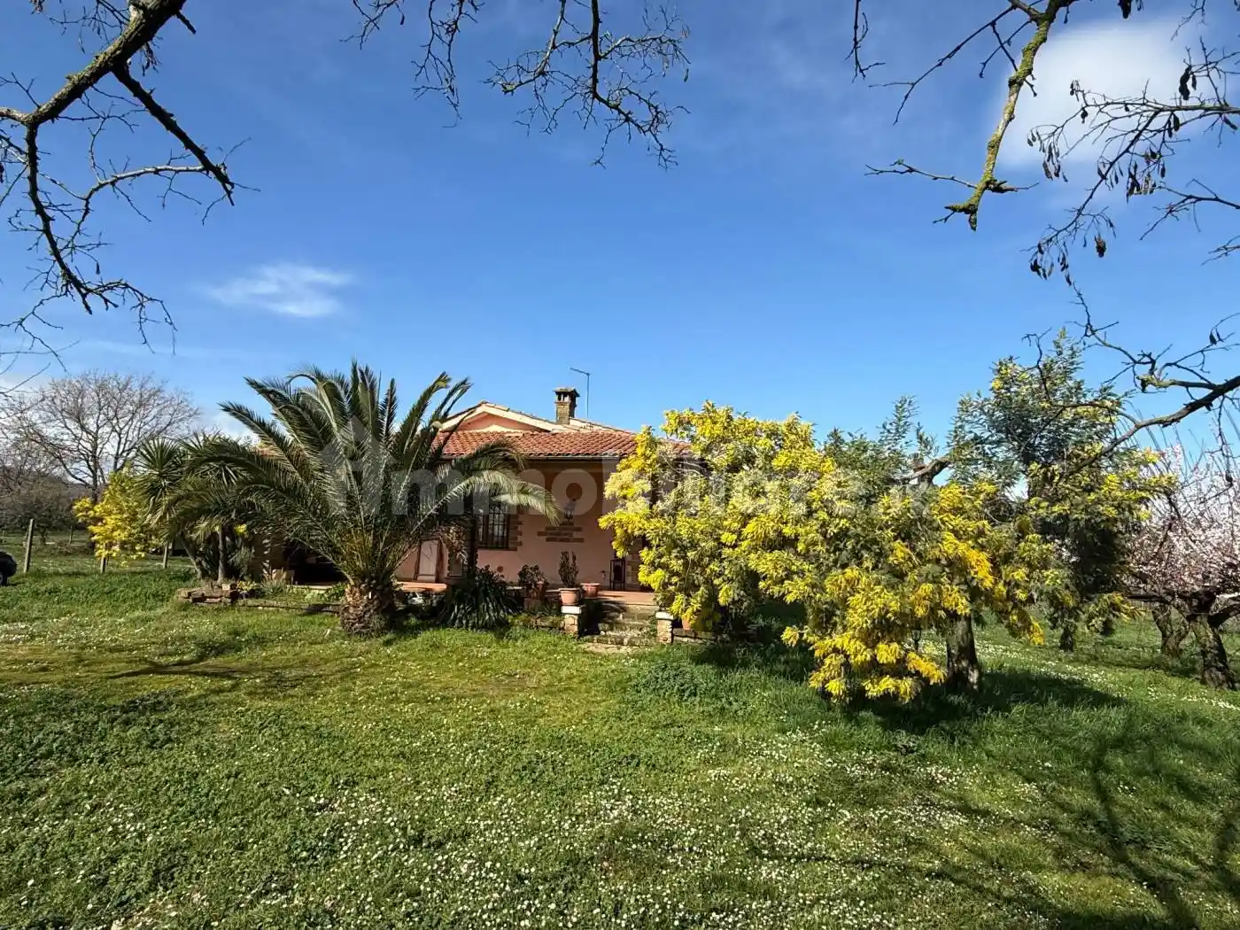 Villa in vendita a Monterosi
