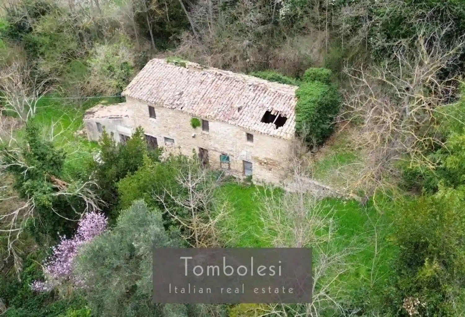 Rustico - Casale - foto 4