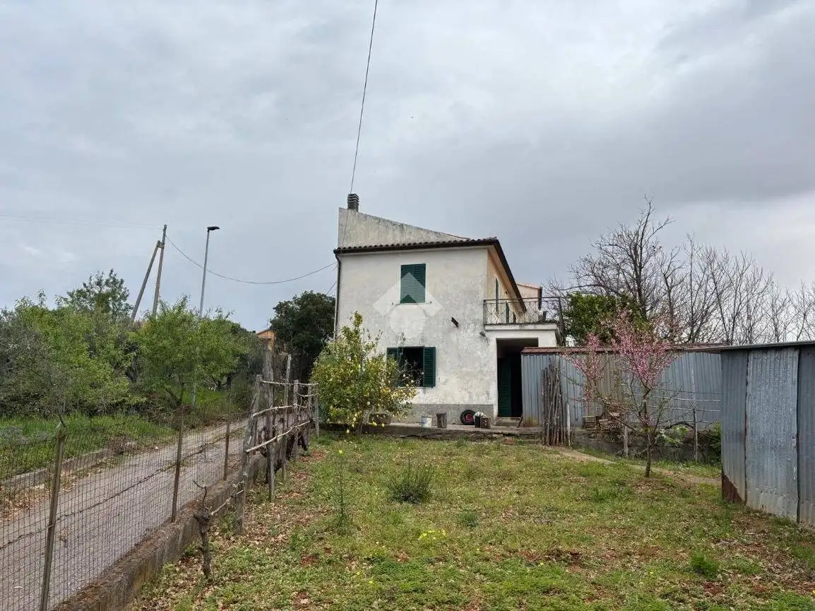 Casa indipendente in vendita a Maierà