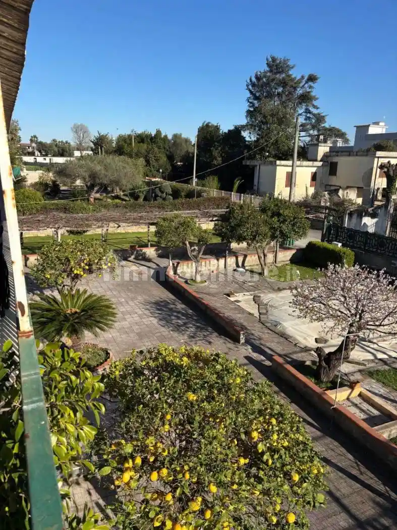 Palazzo - Edificio - foto 3