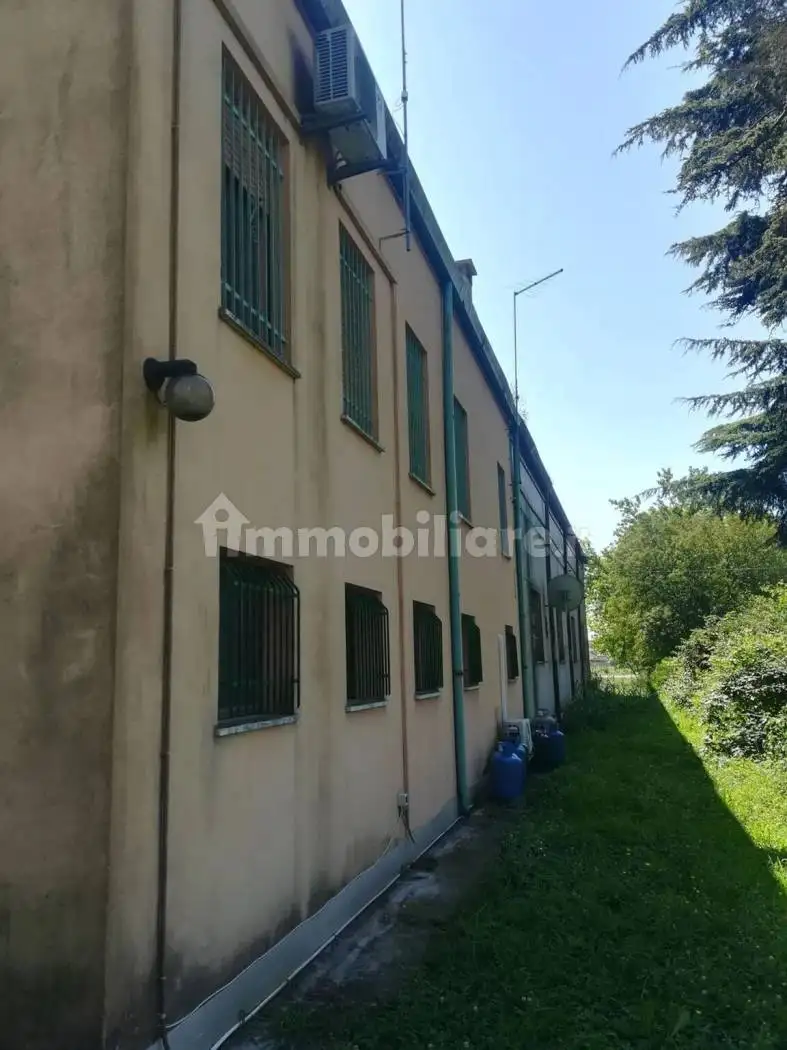 Appartamento in vendita a Papozze