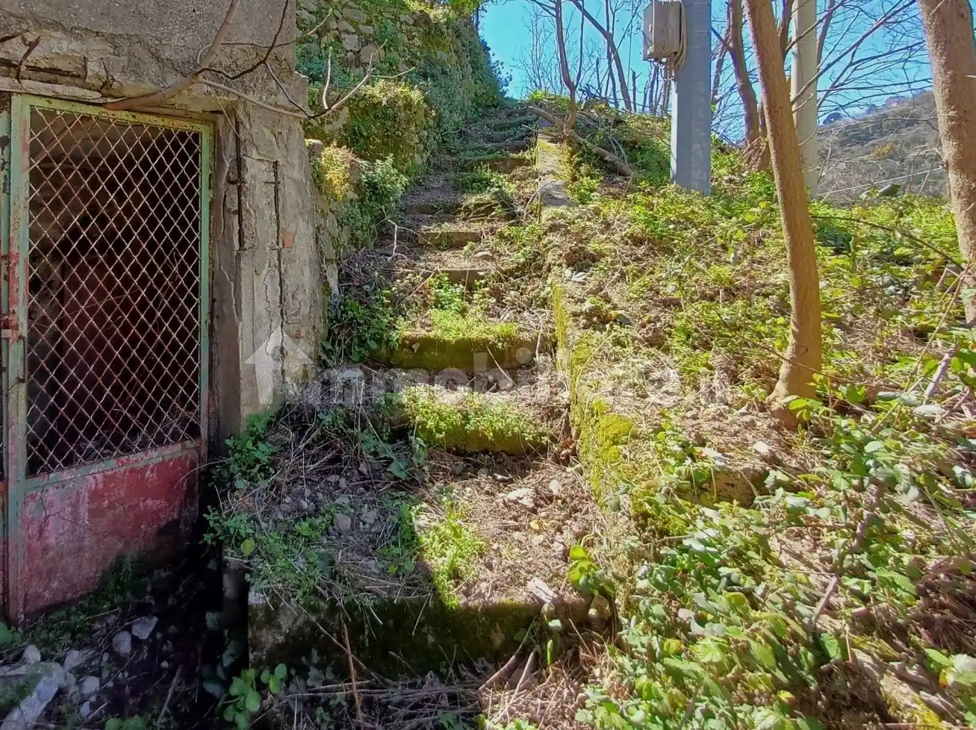 Rustico via Onofrio Colace 60, Pontegrande - Sant'Elia, Catanzaro - foto 4
